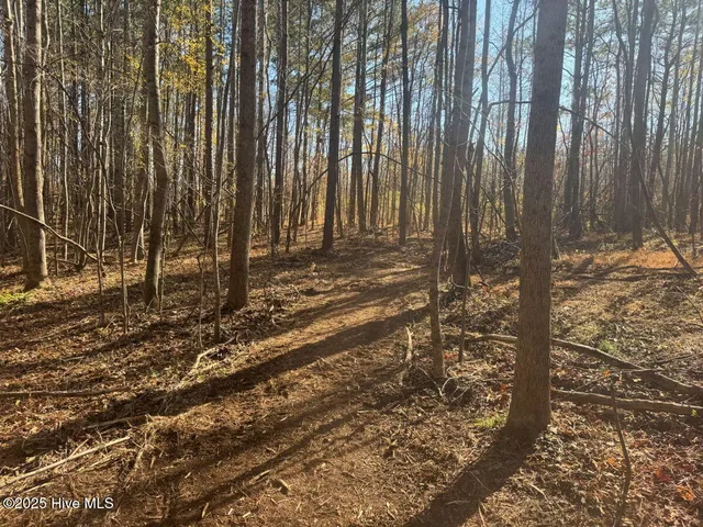 $69,900 | Lot 1 Russell Union Road, Manson, NC 27553