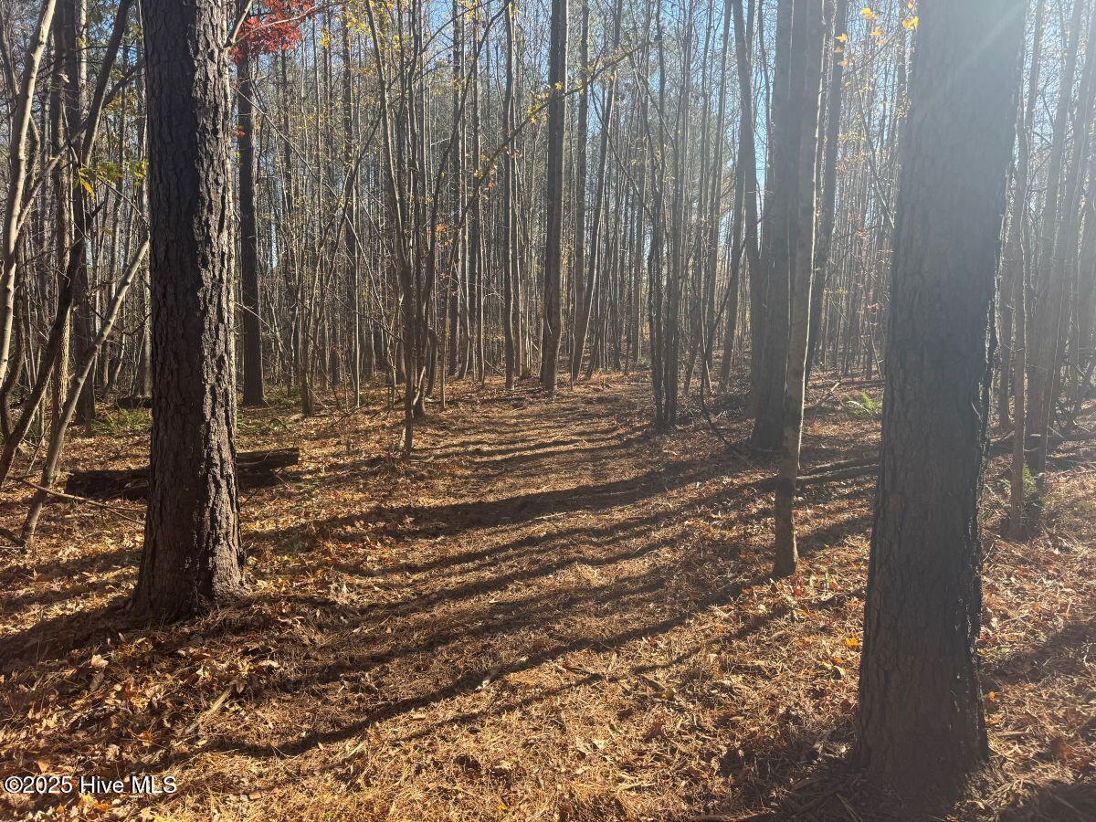 Lot 1 Russell Union Road Manson, NC 27553 - Photo 59 of 60 59