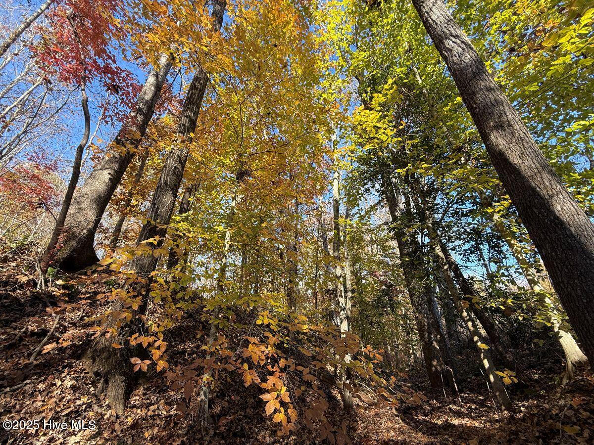 Lot 1 Russell Union Road Manson, NC 27553 - Photo 6 of 60 6