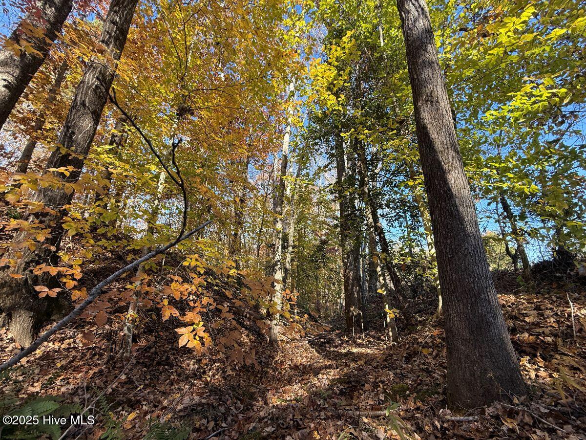 Lot 1 Russell Union Road Manson, NC 27553 - Photo 7 of 60 7