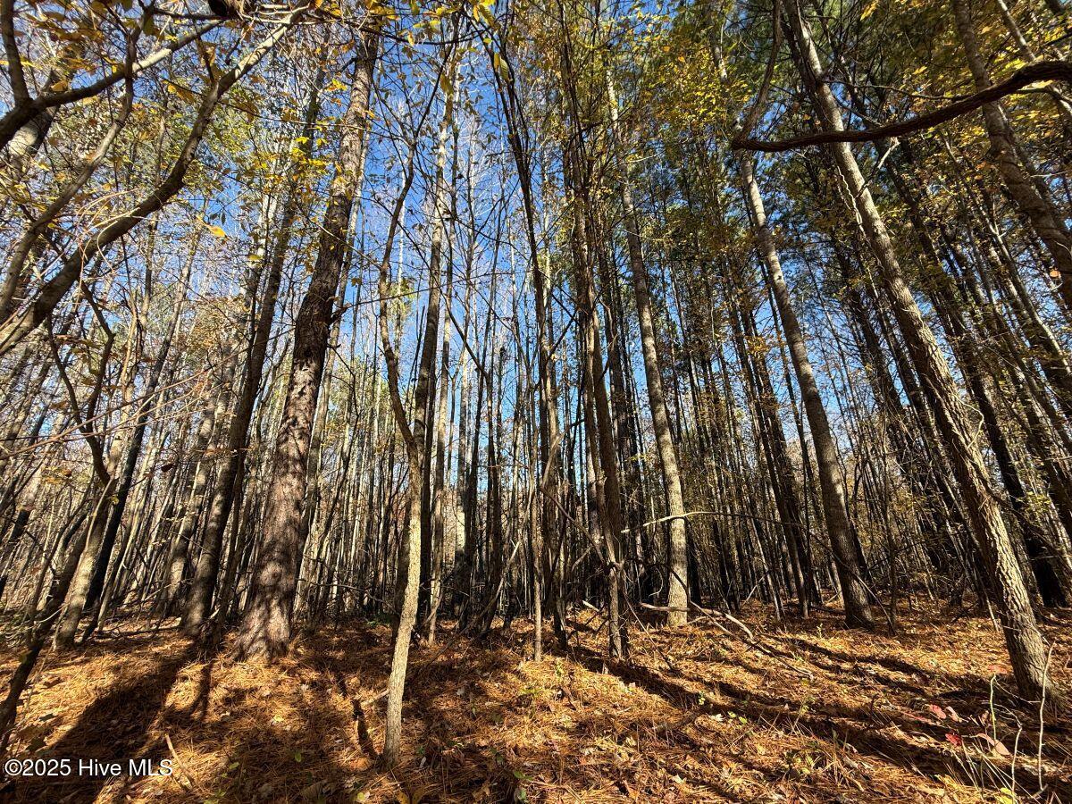 Lot 1 Russell Union Road Manson, NC 27553 - Photo 8 of 60 8