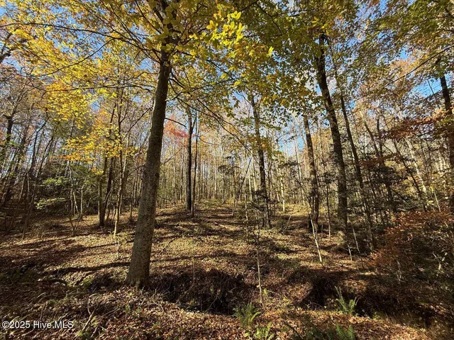 $69,900 | Lot 1 Russell Union Road, Manson, NC 27553