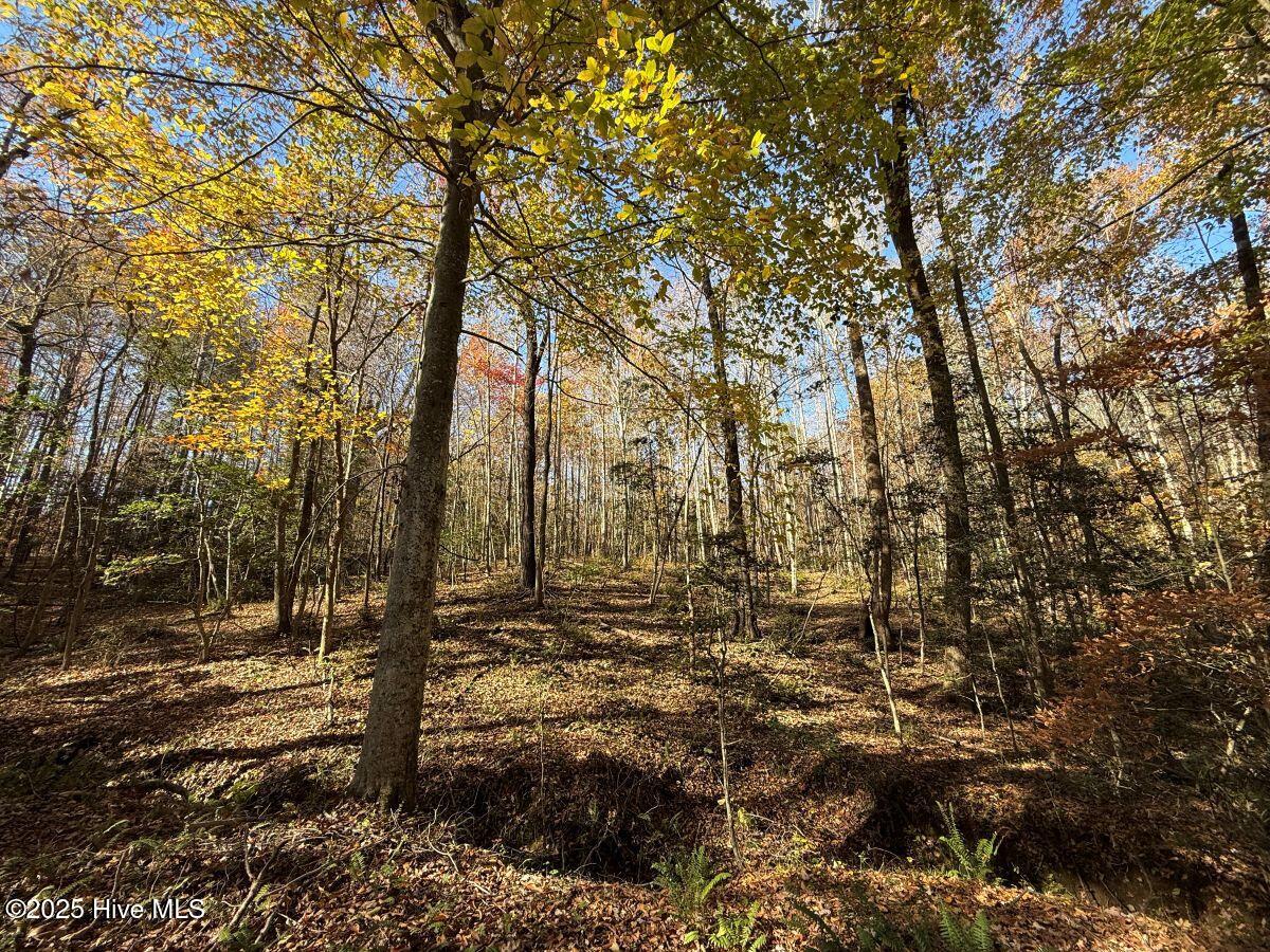 Lot 1 Russell Union Road Manson, NC 27553 - Photo 9 of 60 9