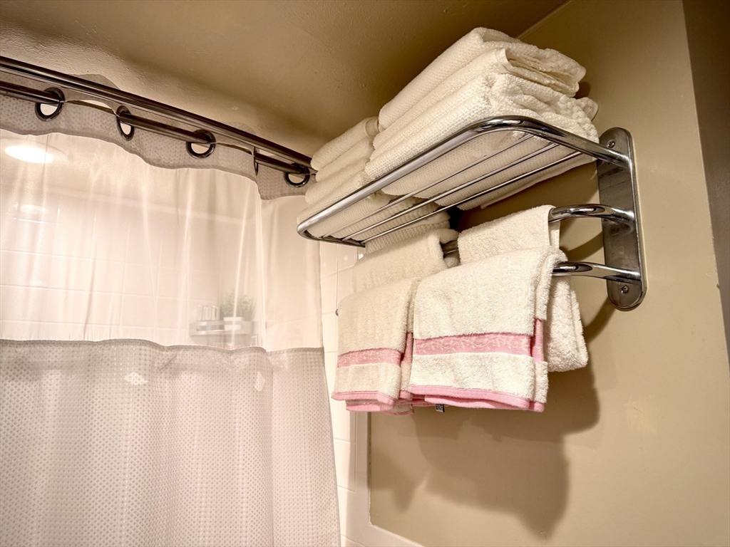 121 Tremont Street, Unit B1 Boston, MA 02135 - Photo 15 of 20 a view of walk in closet with window