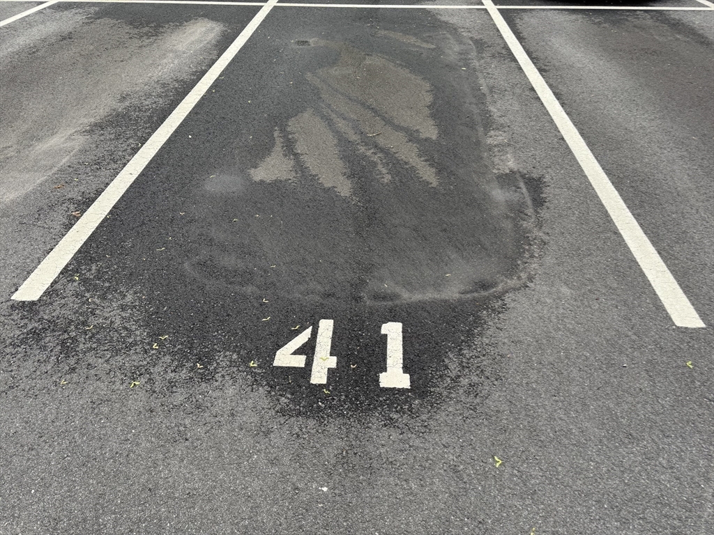 121 Tremont Street, Unit B1 Boston, MA 02135 - Photo 20 of 20 a view of a wooden floor