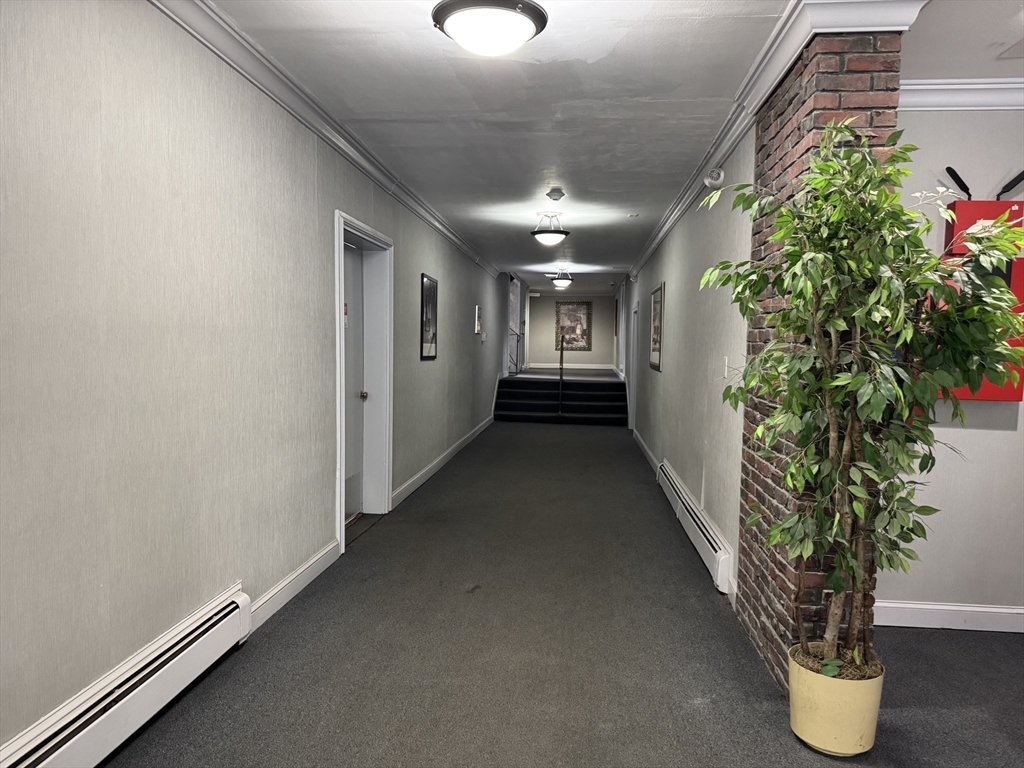 121 Tremont Street, Unit B1 Boston, MA 02135 - Photo 5 of 20 wooden floor in an empty room with a potted plant