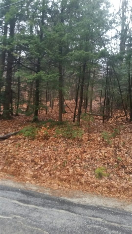 Onset Road Bennington, NH 03442 - Photo 2 of 3