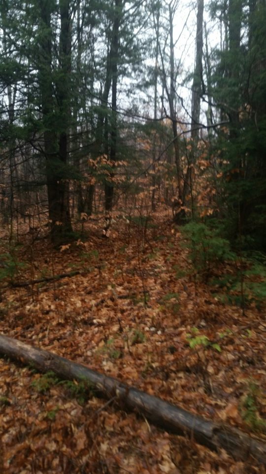 Onset Road Bennington, NH 03442 - Photo 3 of 3