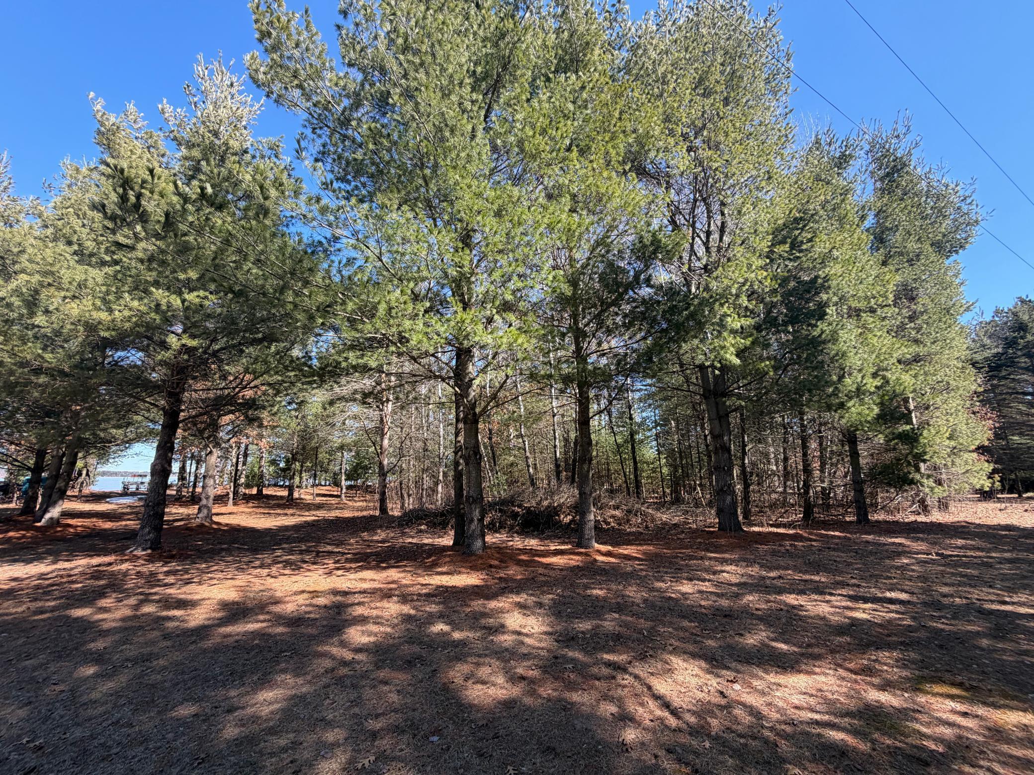 27102 Daniel Drive Webster, WI 54893 - Photo 45 of 46