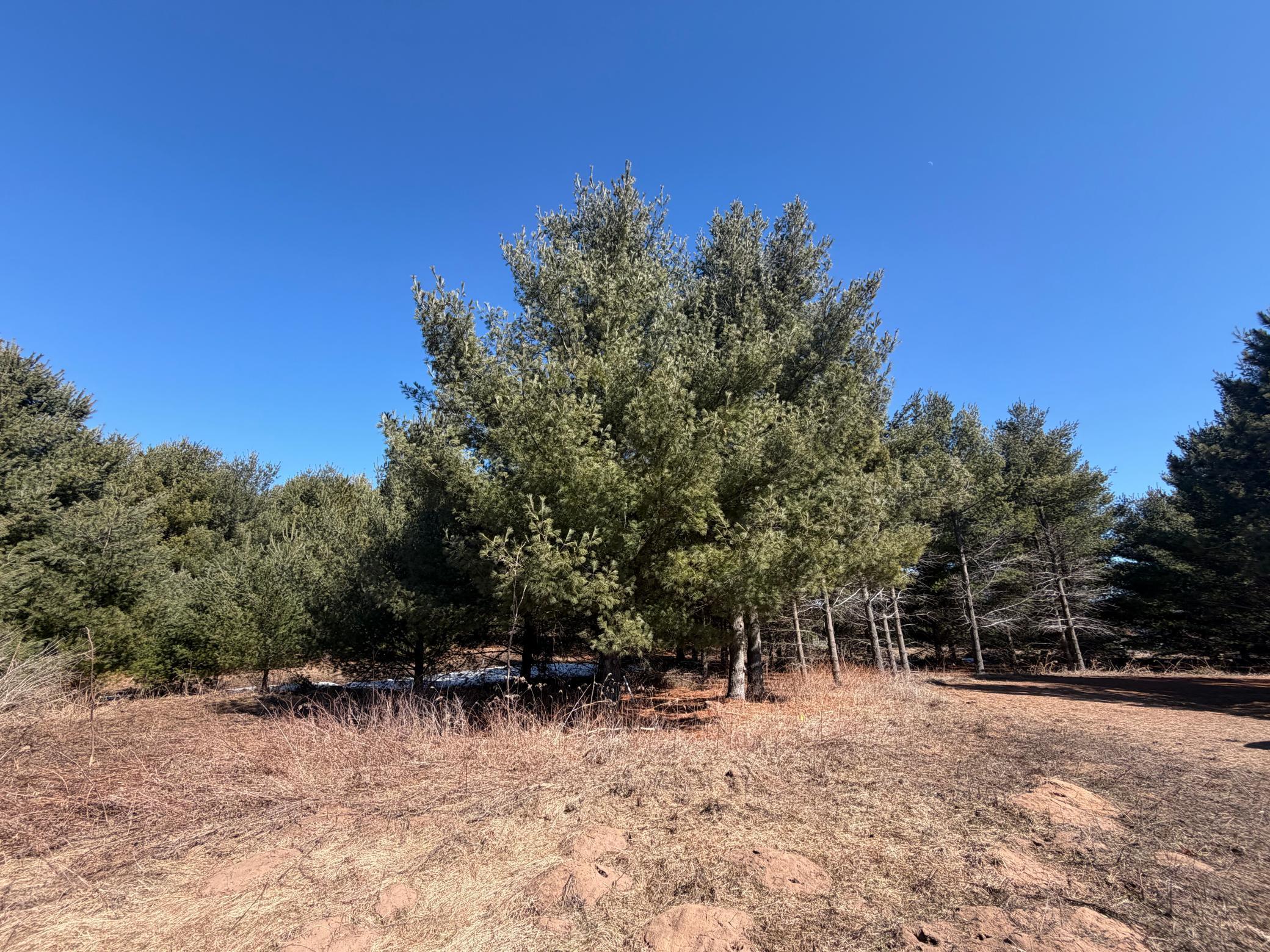 27102 Daniel Drive Webster, WI 54893 - Photo 46 of 46