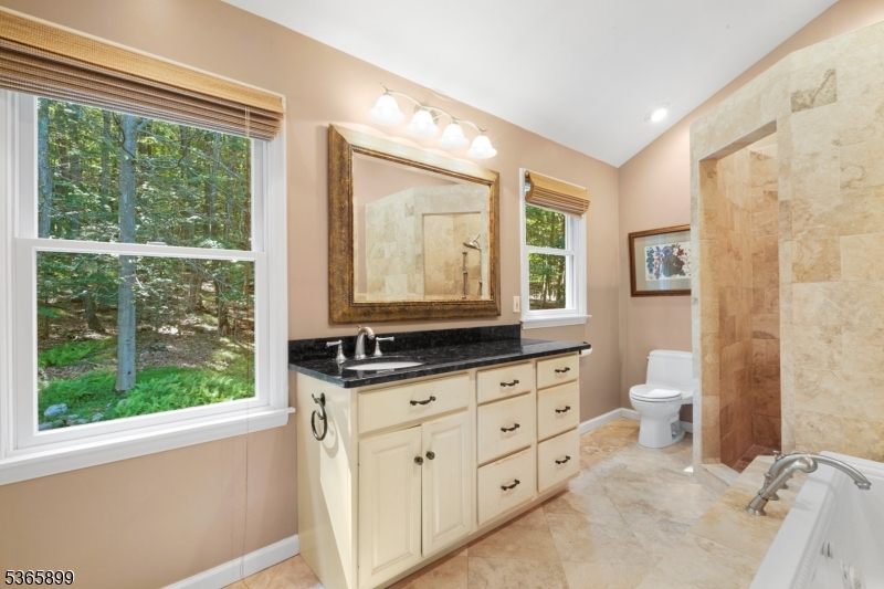 67 Frog Hollow Road Califon, NJ 07830 - Photo 22 of 31 a bathroom with a granite countertop sink a toilet a mirror and a window