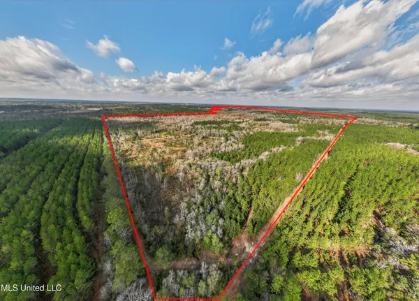 $4,842,500 | 745-ac Moody Road, Lucedale, MS 39452