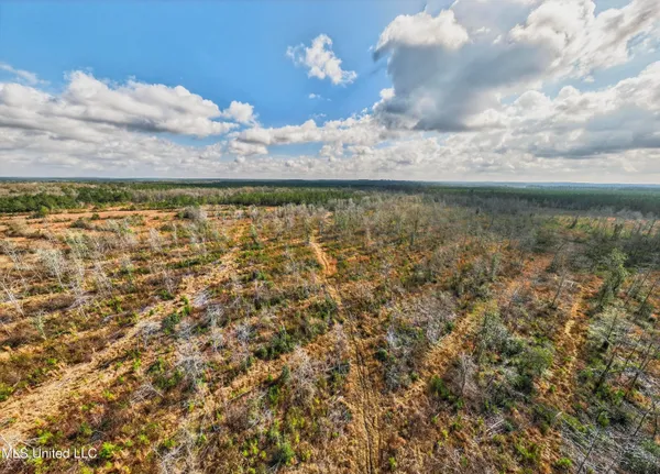 $4,842,500 | 745-ac Moody Road, Lucedale, MS 39452