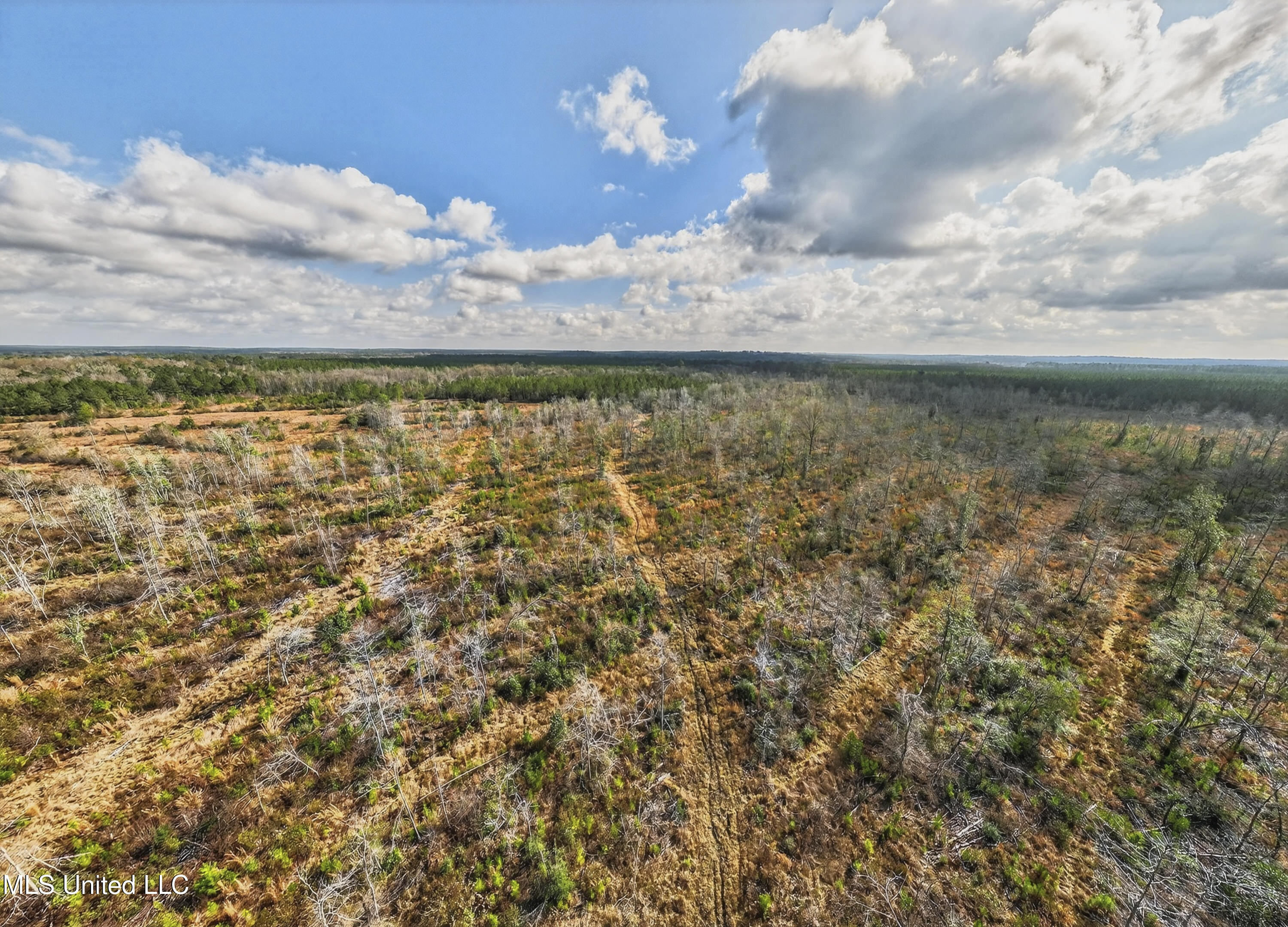 745-ac Moody Road Lucedale, MS 39452 - Photo 12 of 30 LucedaleLand-11