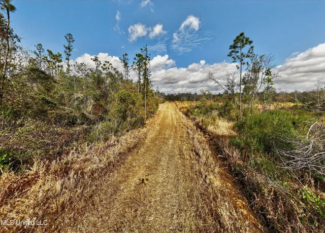 $4,842,500 | 745-ac Moody Road, Lucedale, MS 39452