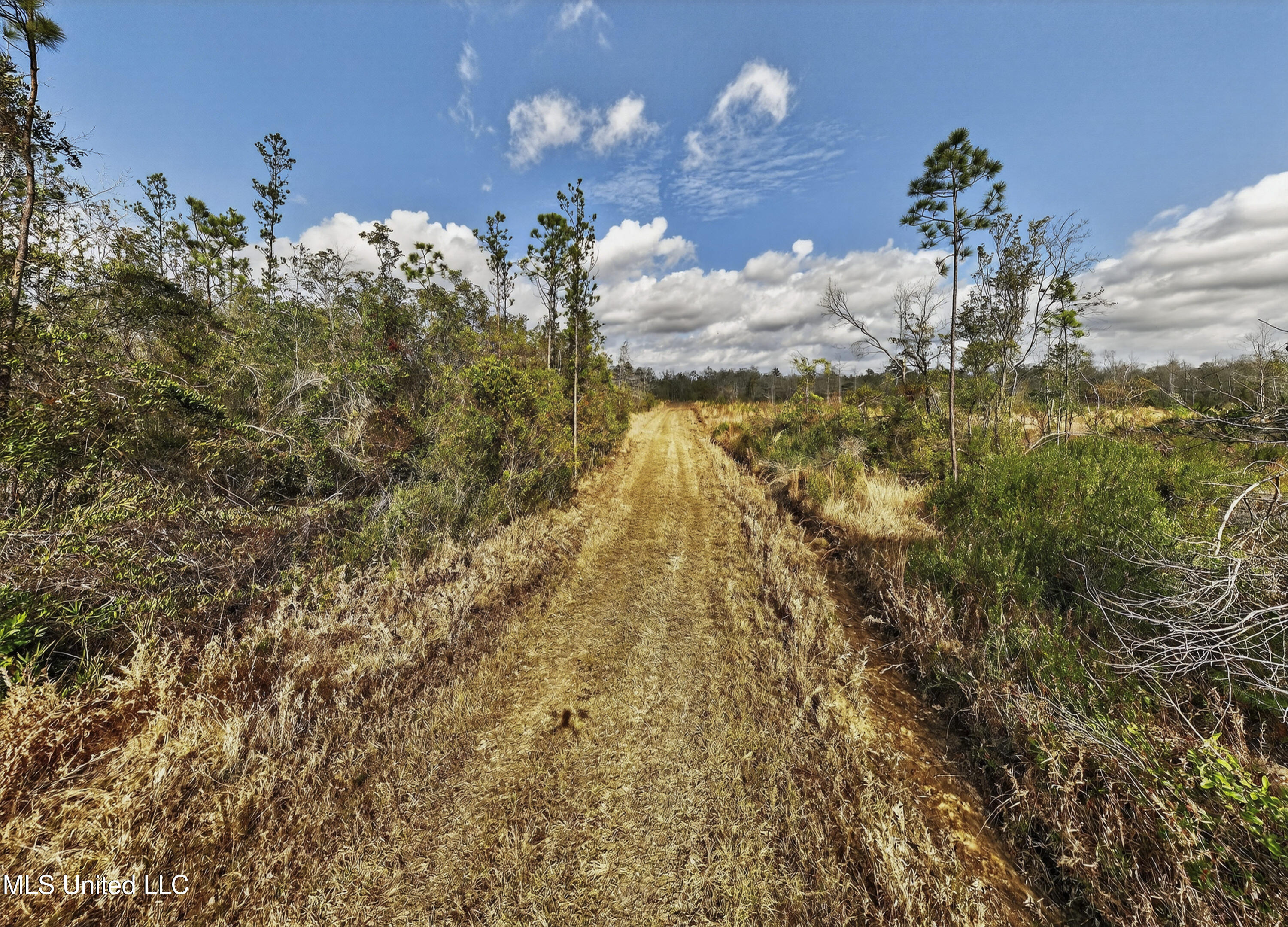 745-ac Moody Road Lucedale, MS 39452 - Photo 13 of 30 LucedaleLand-12