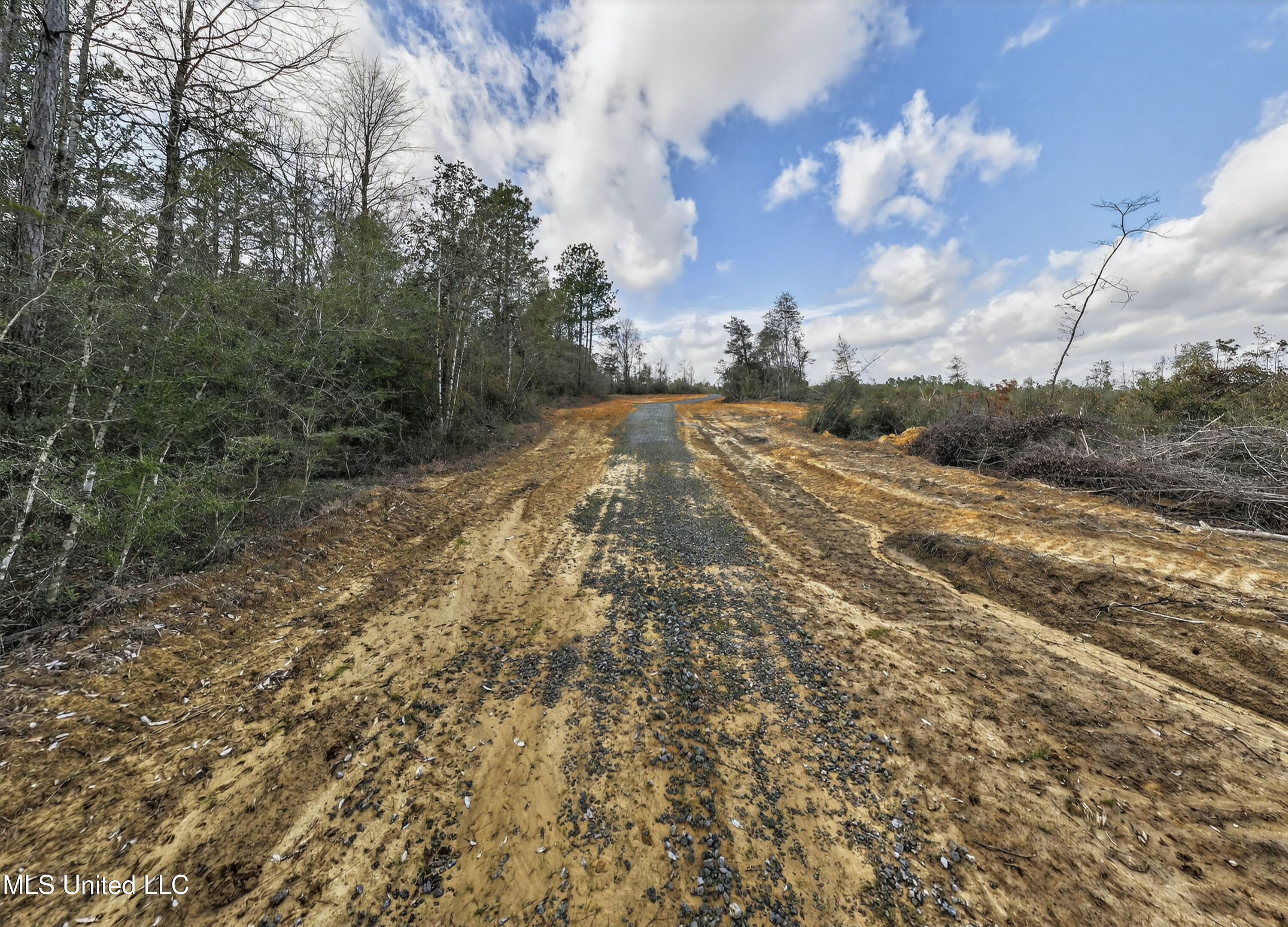 745-ac Moody Road Lucedale, MS 39452 - Photo 15 of 30 LucedaleLand-14
