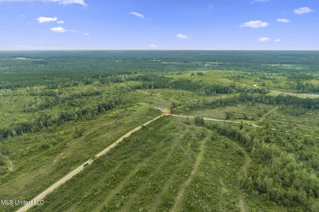 $4,842,500 | 745-ac Moody Road, Lucedale, MS 39452