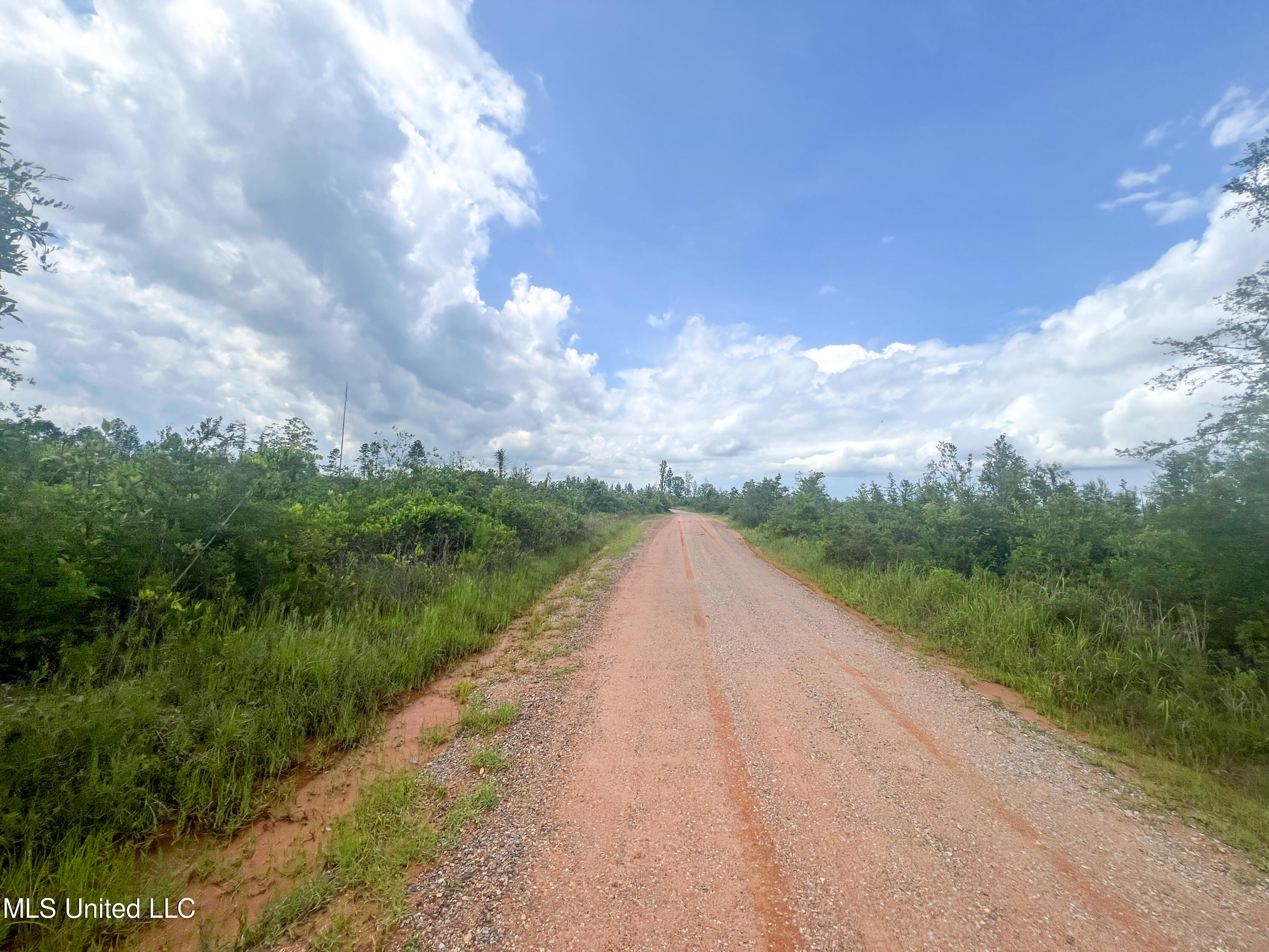 745-ac Moody Road Lucedale, MS 39452 - Photo 25 of 30 IMG_9921