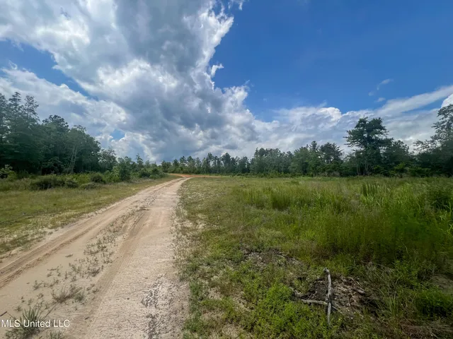 $4,842,500 | 745-ac Moody Road, Lucedale, MS 39452