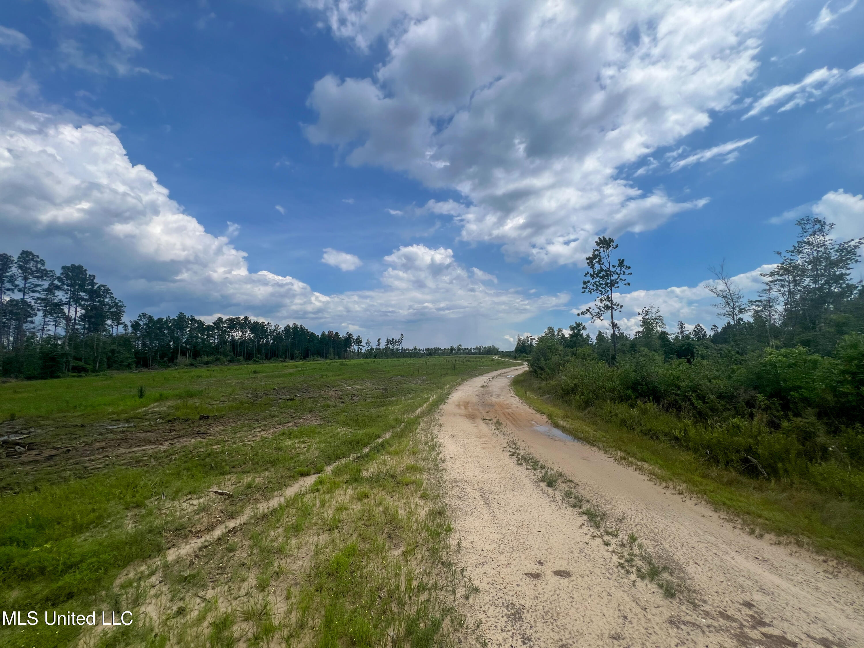 745-ac Moody Road Lucedale, MS 39452 - Photo 29 of 30 IMG_9925