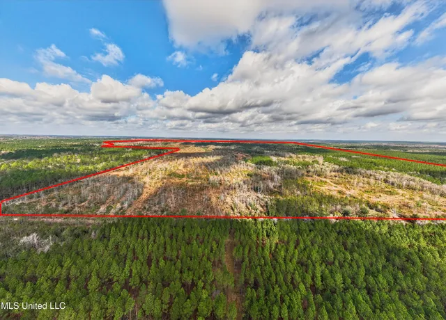 $4,842,500 | 745-ac Moody Road, Lucedale, MS 39452