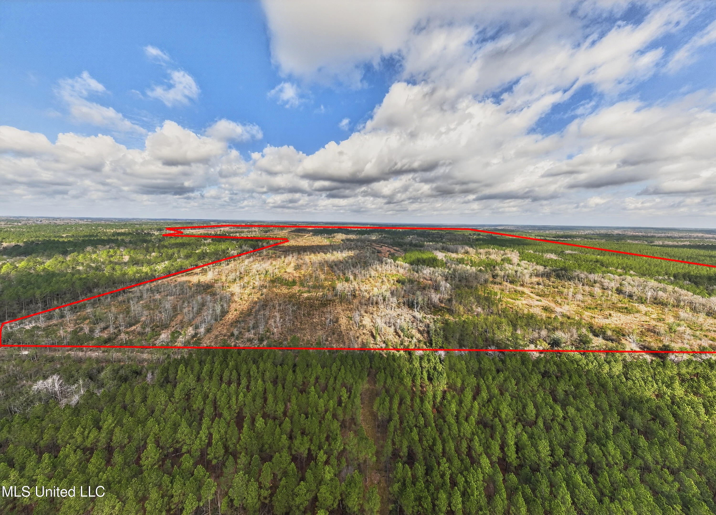 745-ac Moody Road Lucedale, MS 39452 - Photo 7 of 30 LucedaleLand-6