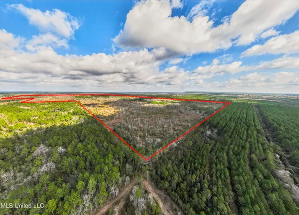 $4,842,500 | 745-ac Moody Road, Lucedale, MS 39452