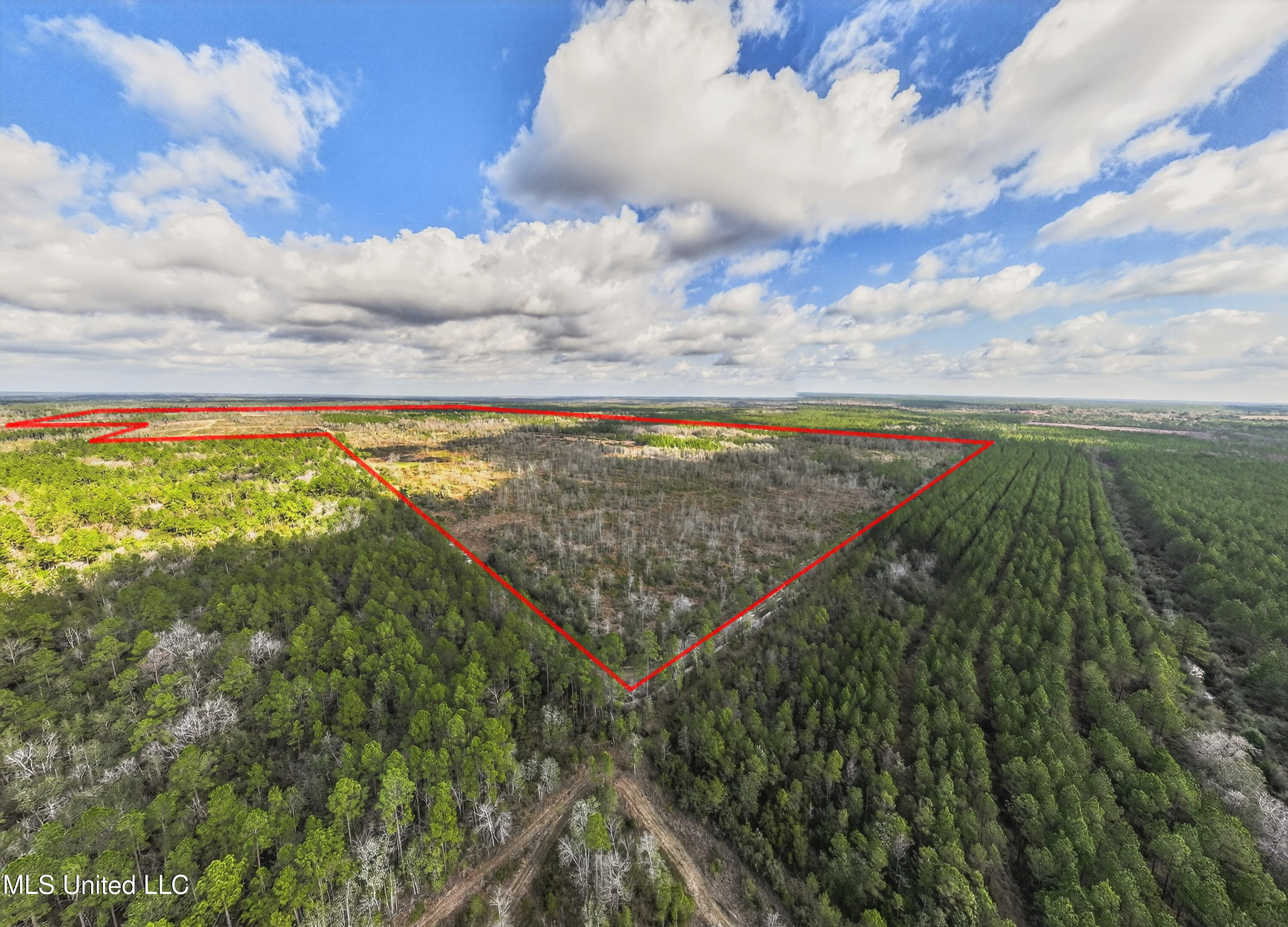 745-ac Moody Road Lucedale, MS 39452 - Photo 8 of 30 LucedaleLand-7