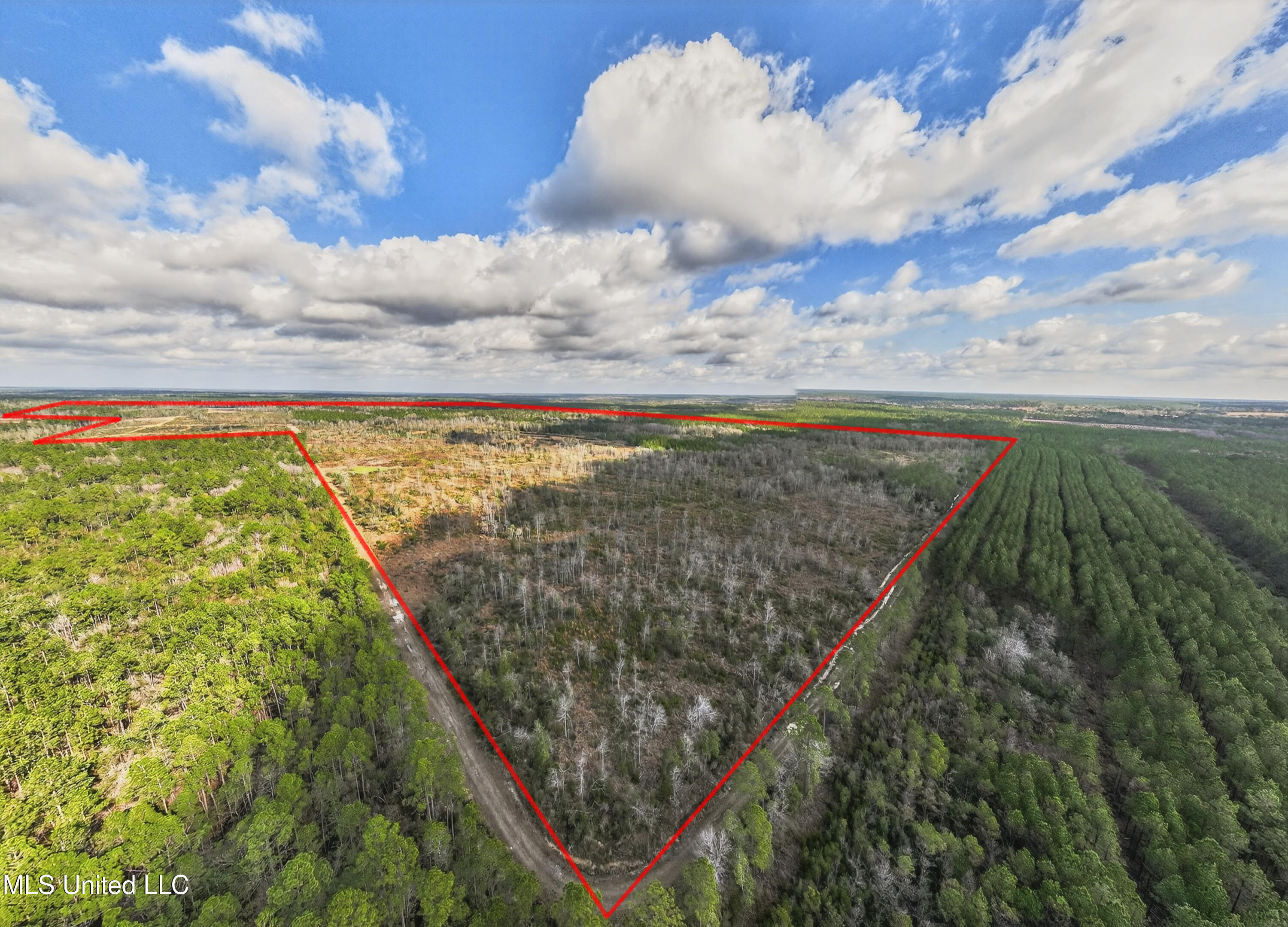 745-ac Moody Road Lucedale, MS 39452 - Photo 9 of 30 LucedaleLand-8