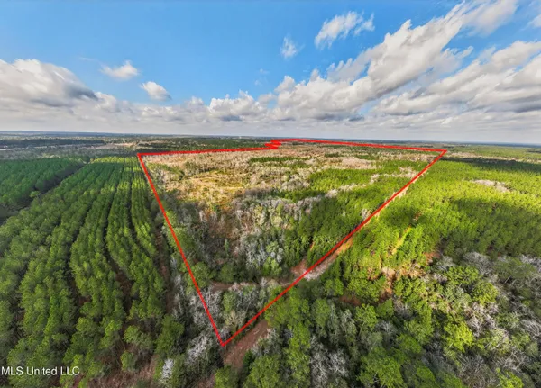 $4,842,500 | 745-ac Moody Road, Lucedale, MS 39452