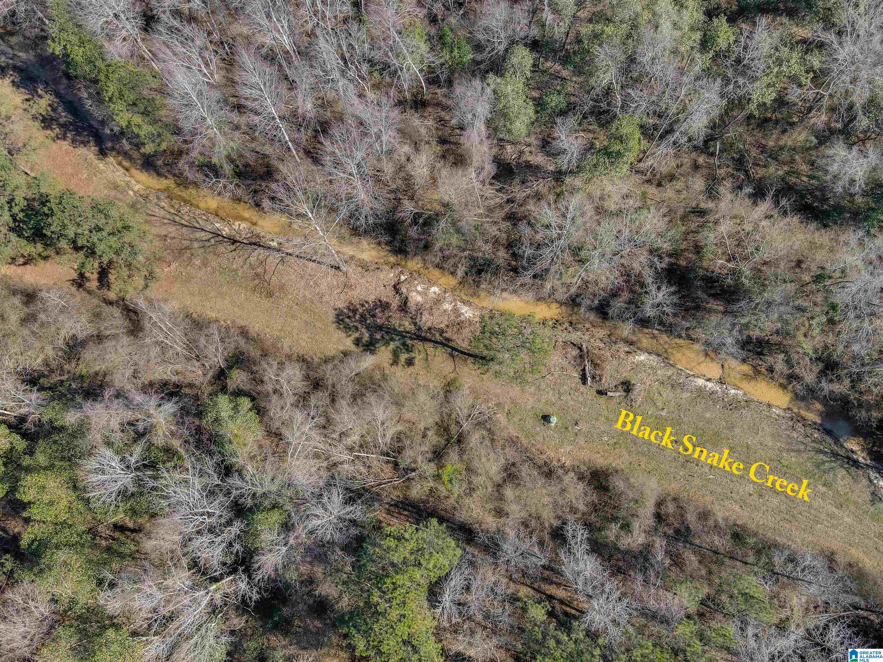 807 Yellow Leaf Road, Unit 1 Clanton, AL 35045 - Photo 8 of 18