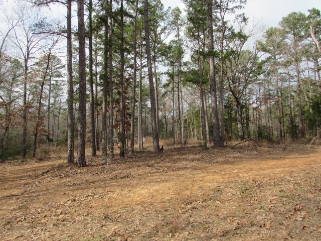 102 An County Road, Unit 347 Palestine, TX 75803 - Photo 12 of 27