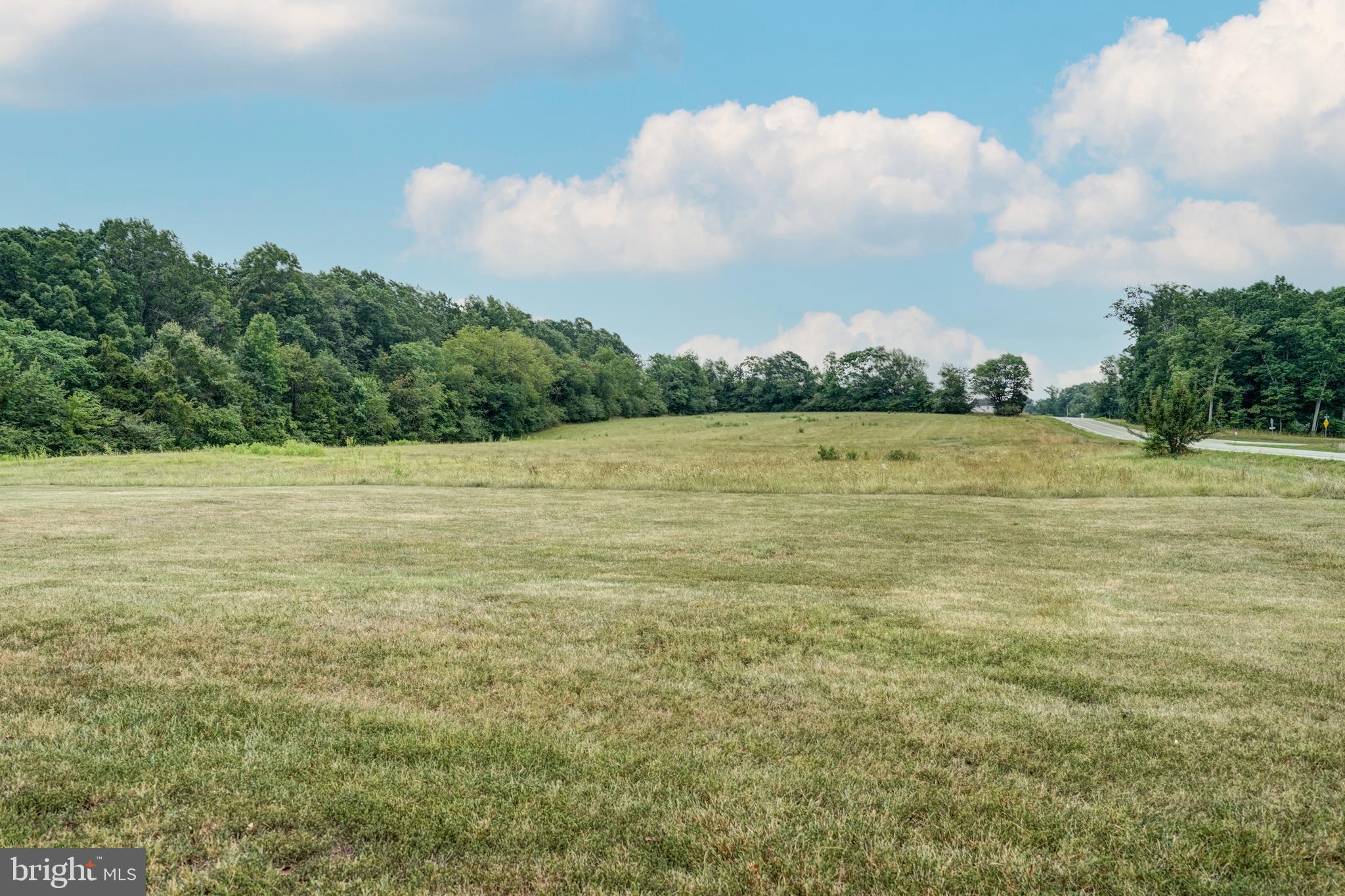 334 Byrd Mill Road Louisa, VA 23093 - Photo 31 of 39