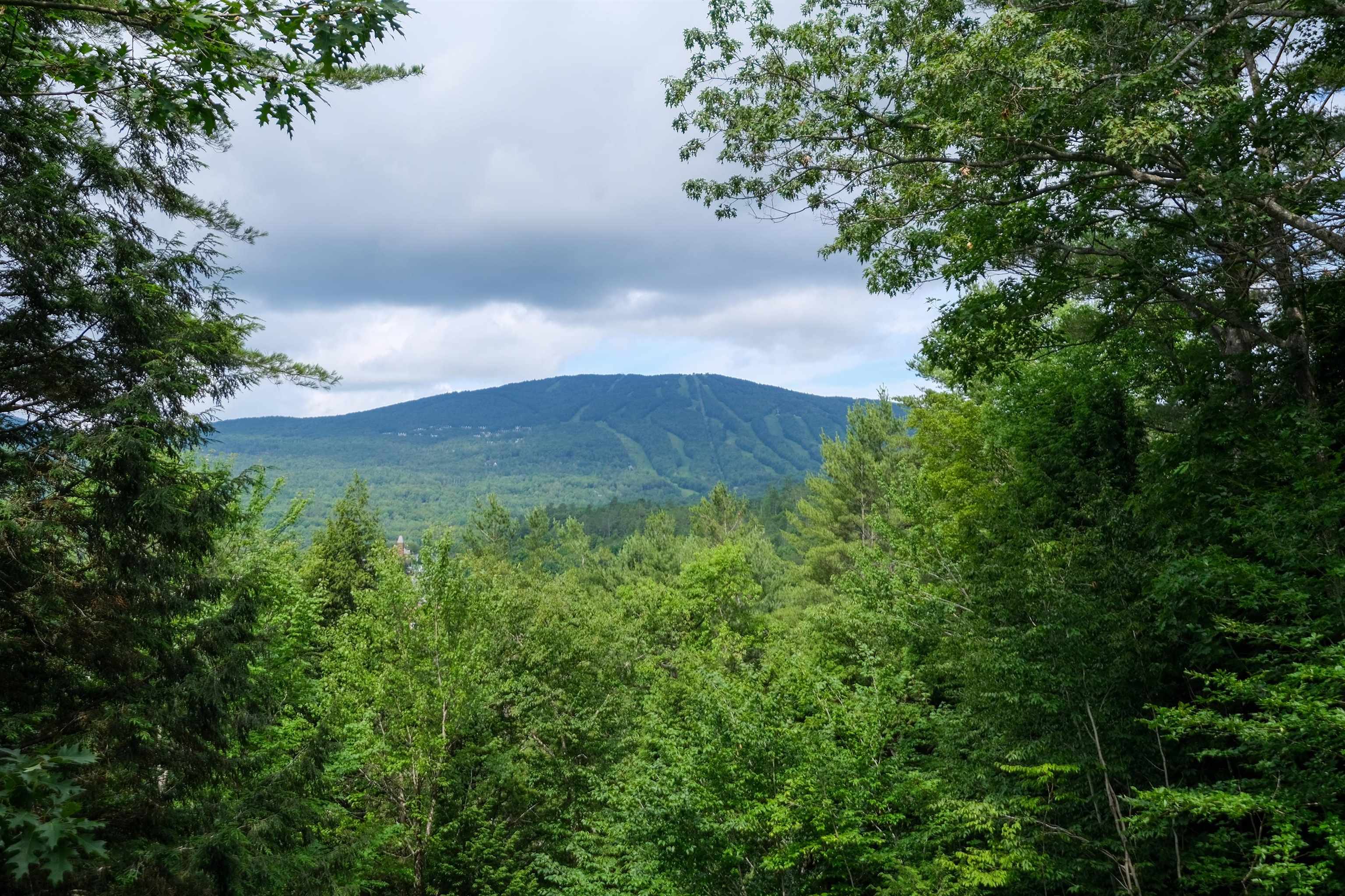 119 Pine Hill Road Ludlow, VT 05149 - Photo 49 of 54