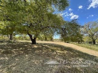 19404 Water Canyon Road Tehachapi, CA 93561 - Photo 3 of 19 Gallery Image 3