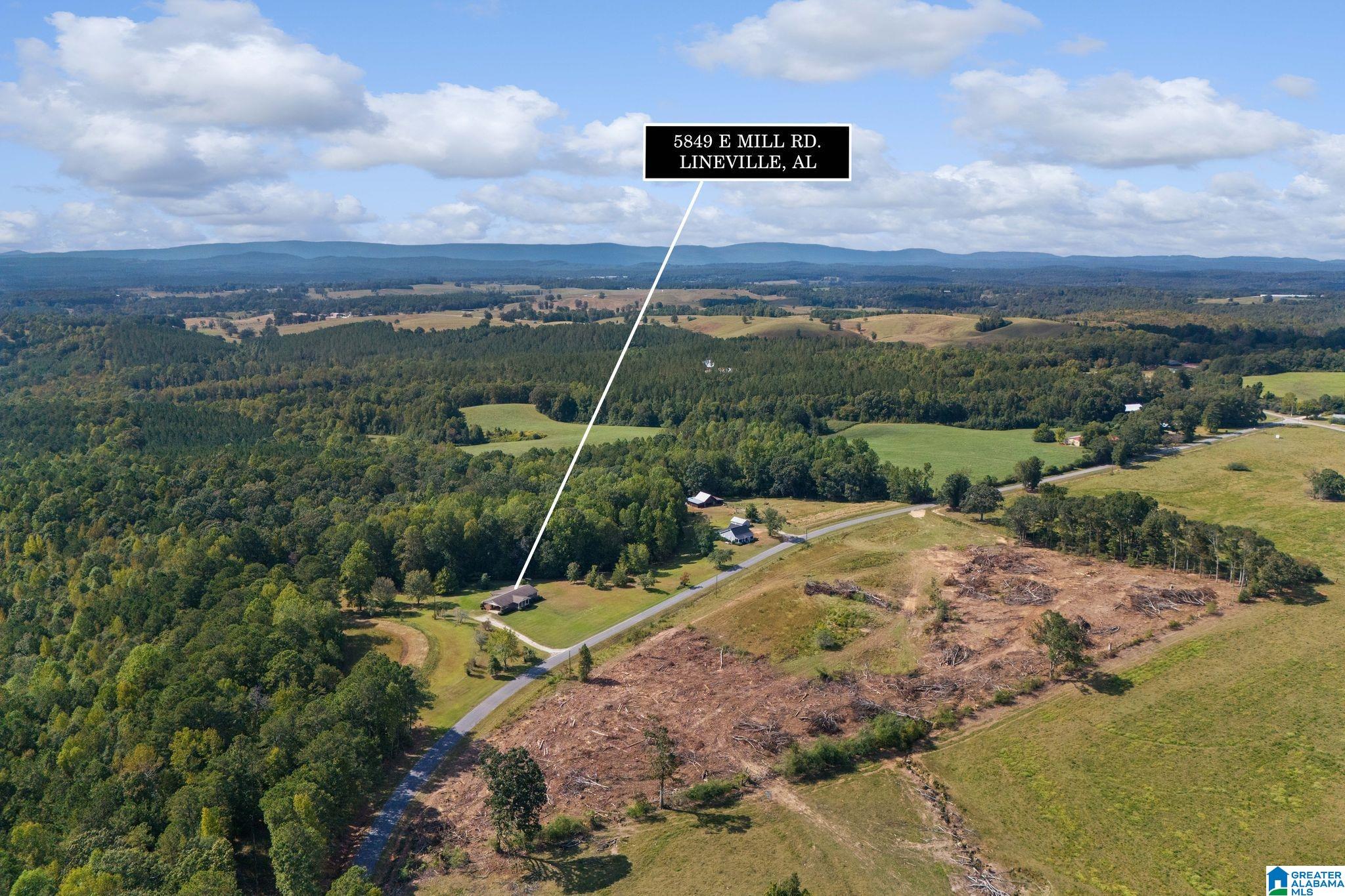 5849 East Mill Road Lineville, AL 36266 - Photo 2 of 28