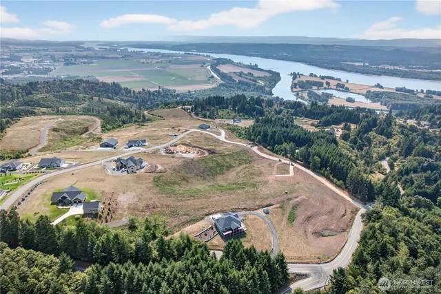 an aerial view of a house with a mountain