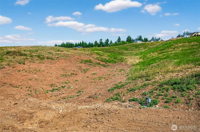 a view of a big yard with lots of bushes and trees