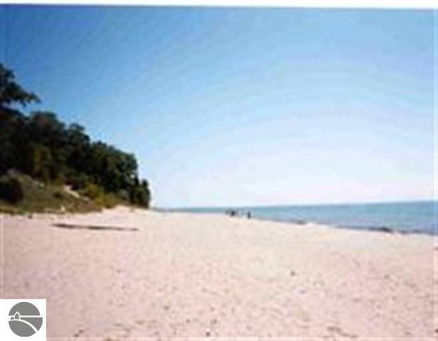 Robinson Road Frankfort, MI 49635 - Photo 3 of 3 1706275-2.JPG