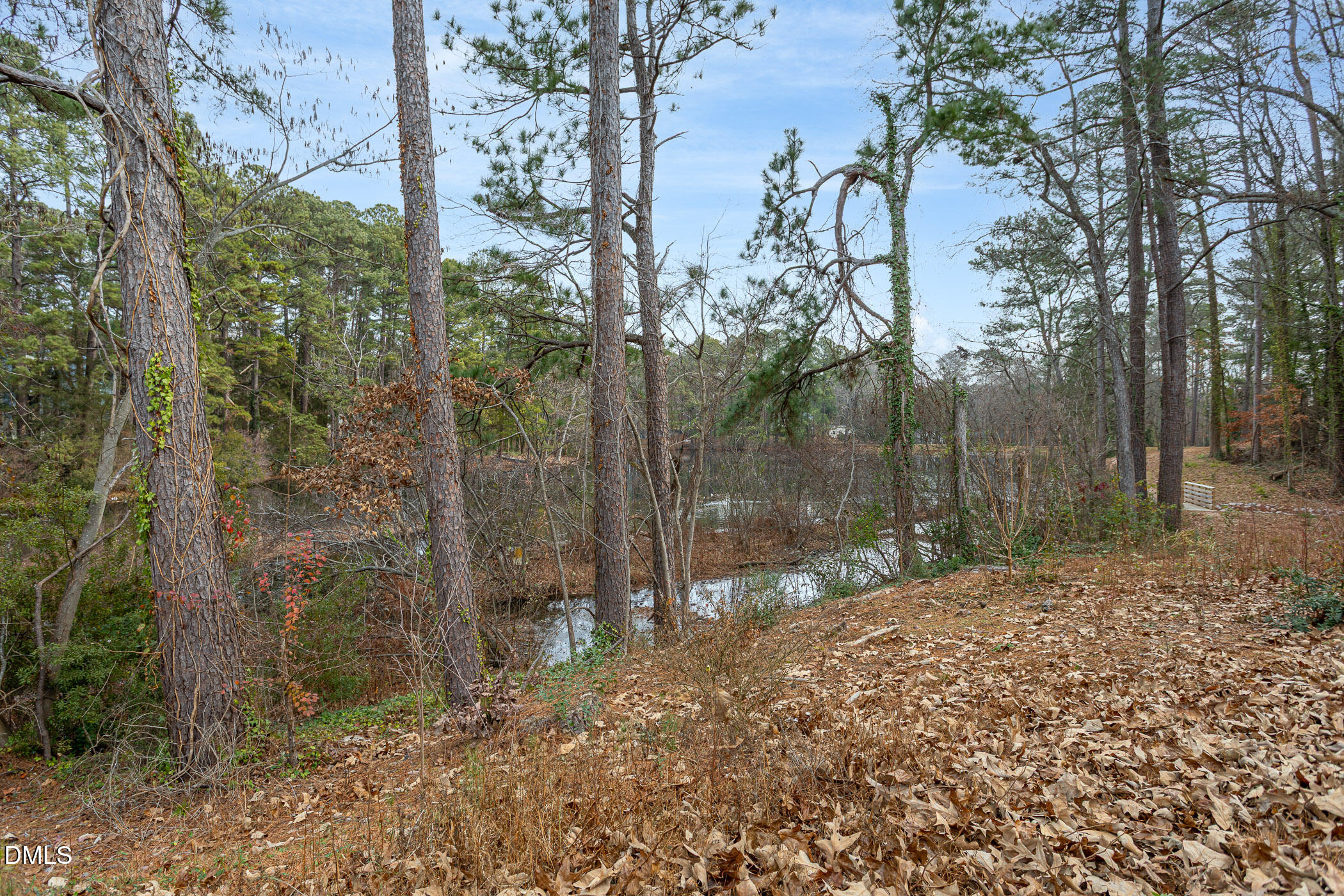 5118 Flint Ridge Place Raleigh, NC 27609 - Photo 13 of 18 Your Lake View