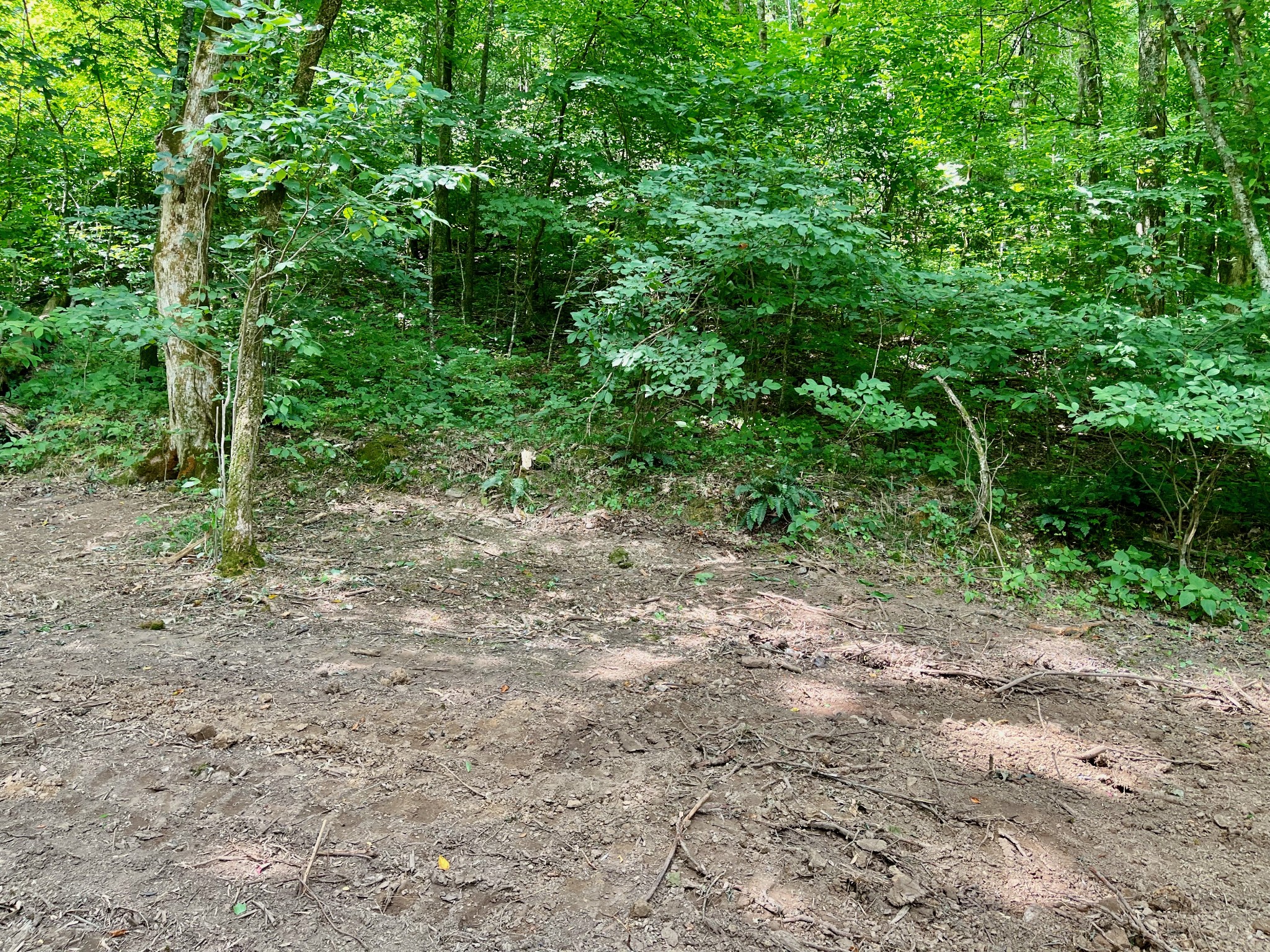 135 Dillehay Hollow Road Pleasant Shade, TN 37145 - Photo 9 of 47