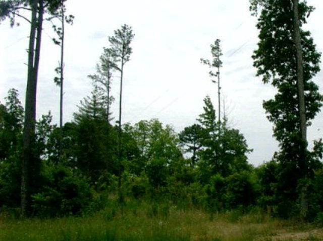 40 Lunenburg County Road, Unit 4 Keysville, VA 23947 - Photo 1 of 1 Gallery Image 1