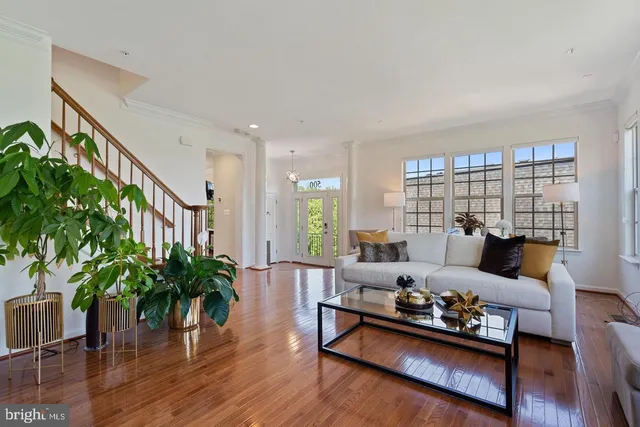 a living room with furniture and a potted plant with wooden floor