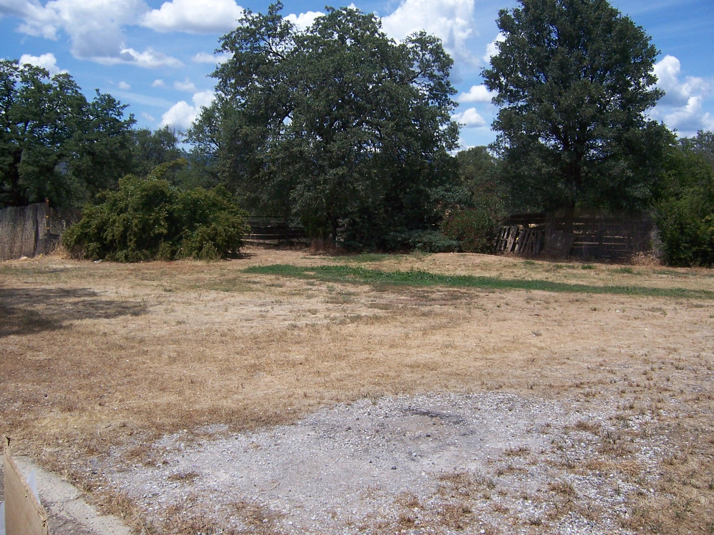 Scott Road Redding, CA 96003 - Photo 1 of 22 a view of dirt yard with trees