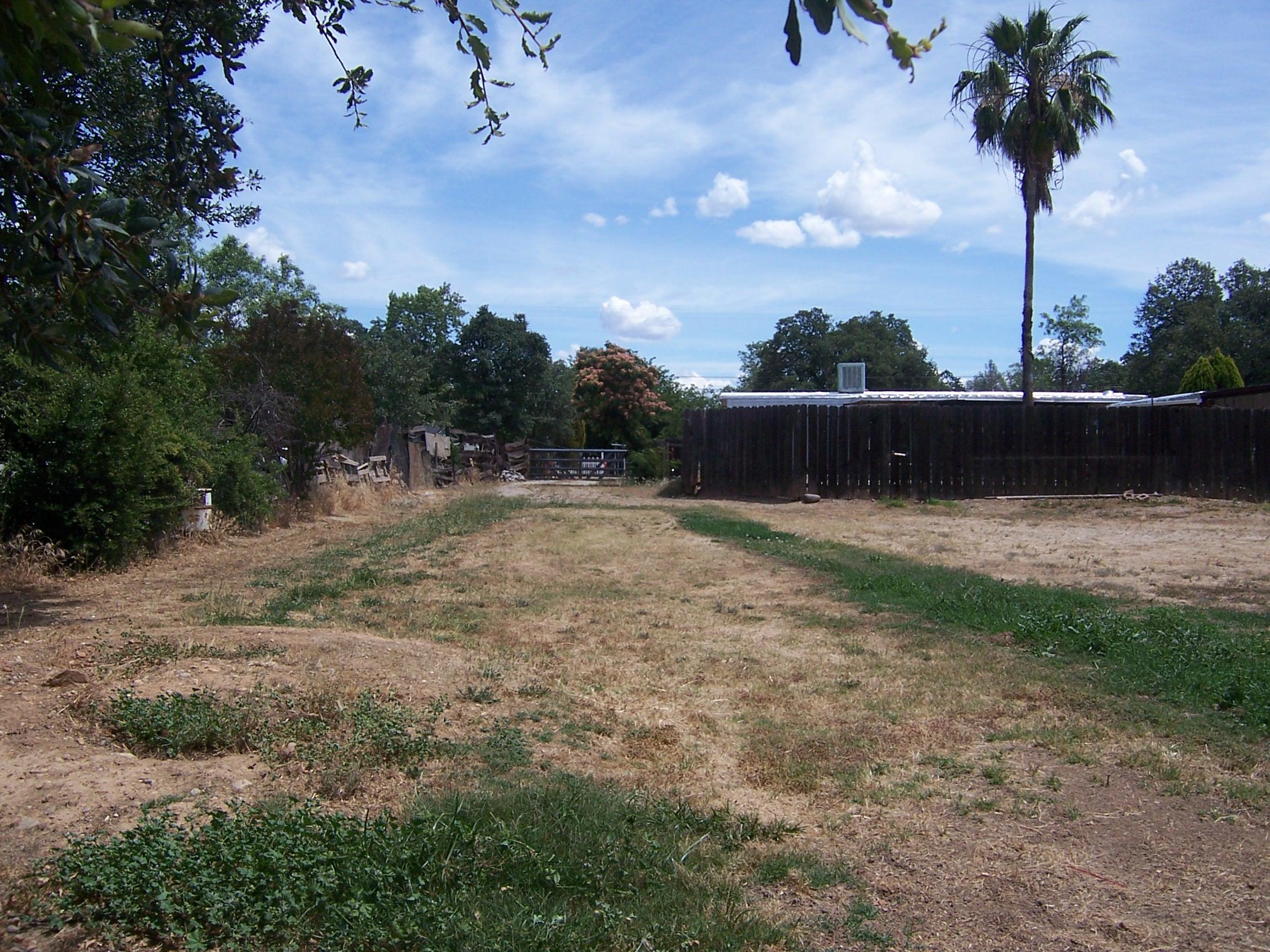 Scott Road Redding, CA 96003 - Photo 12 of 22 a view of swimming pool with a yard and palm trees