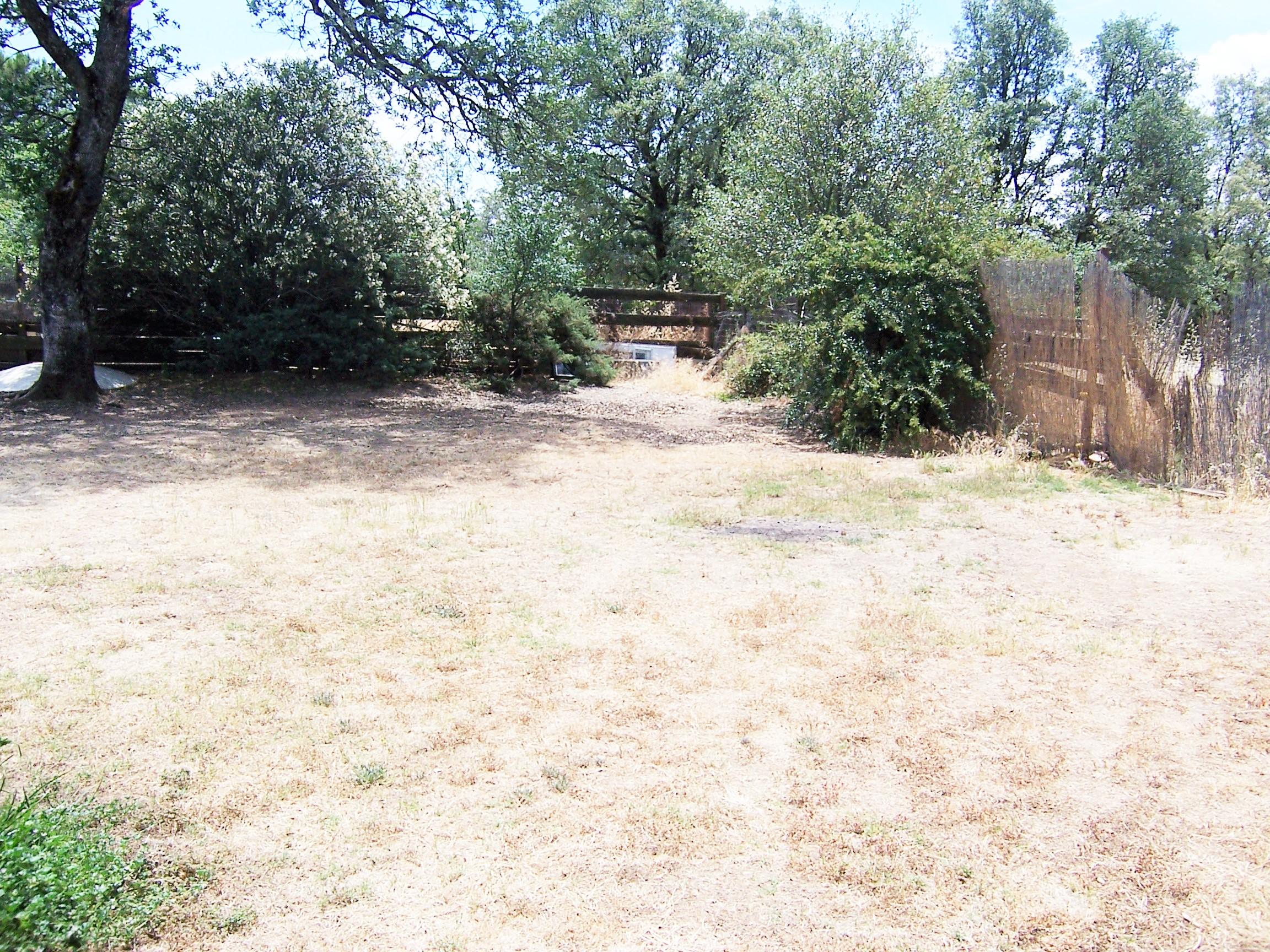 Scott Road Redding, CA 96003 - Photo 13 of 22 a view of backyard of a house with trees