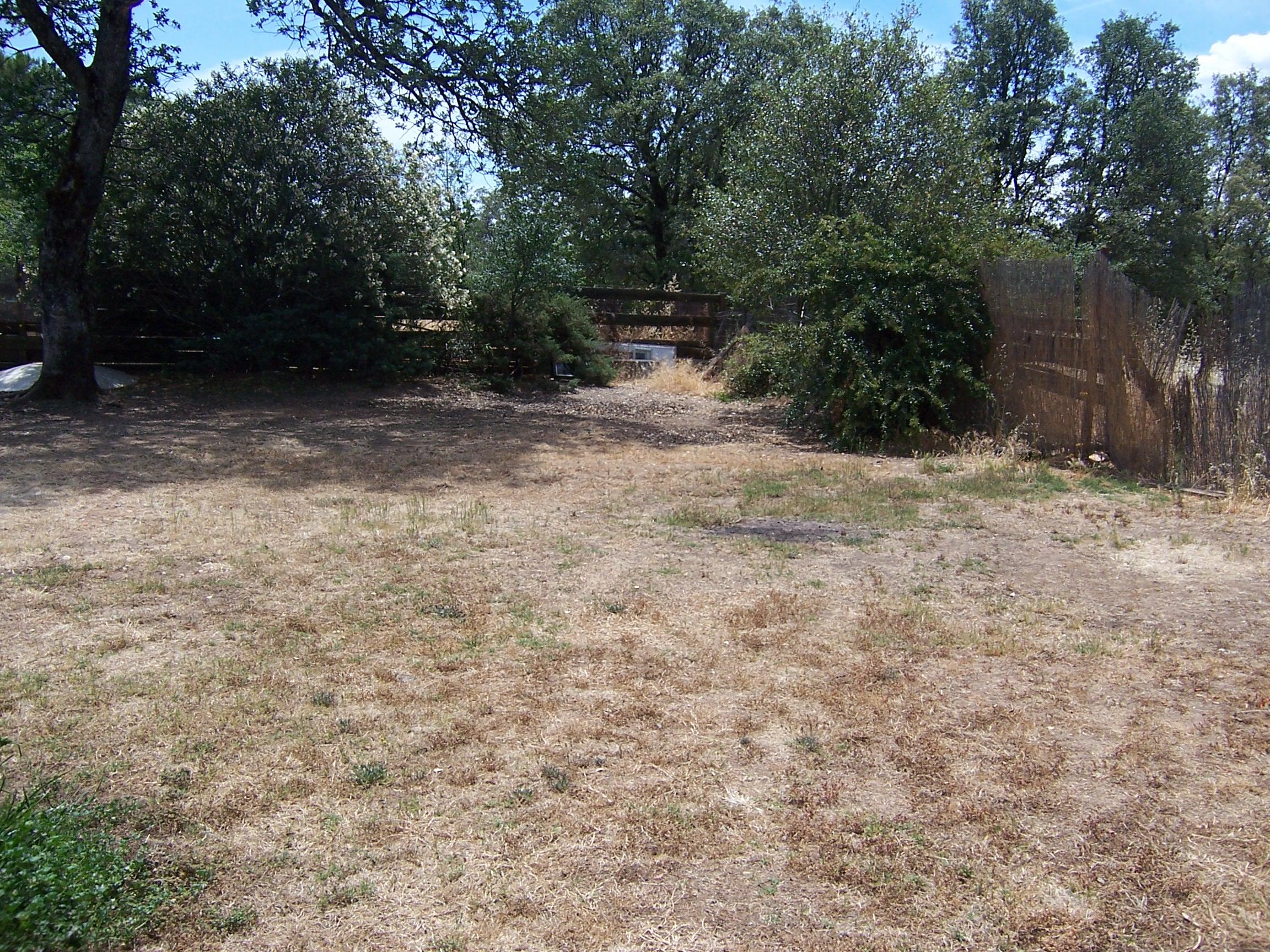 Scott Road Redding, CA 96003 - Photo 14 of 22 a view of backyard with green space
