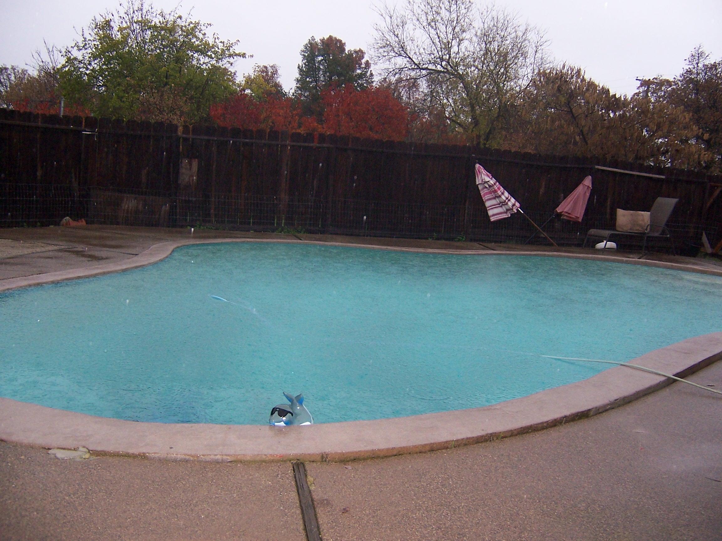 Scott Road Redding, CA 96003 - Photo 19 of 22 a view of swimming pool with wooden fence