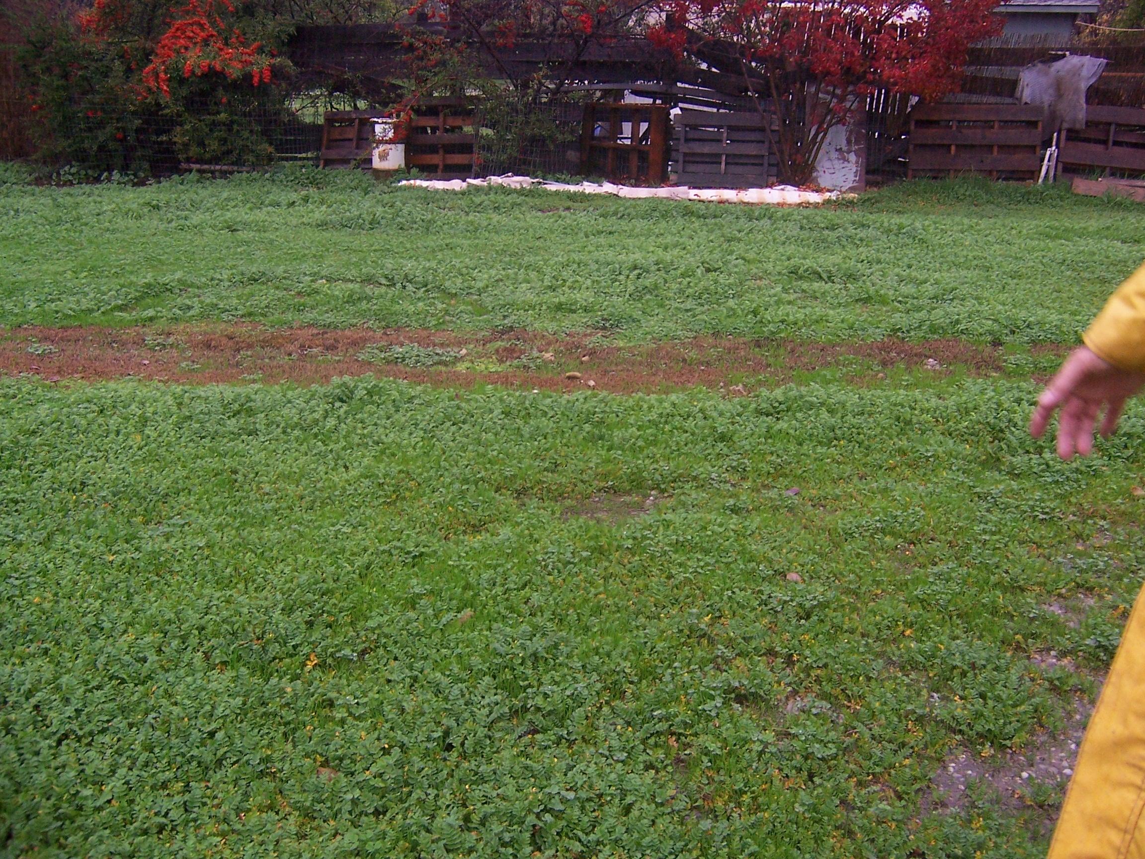 Scott Road Redding, CA 96003 - Photo 21 of 22 a view of a field of grass and trees